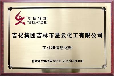 國家級(jí)“專精特新”小巨人企業(yè)